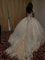 Glittering Quinceanera Dresses Lace Princess Dress Birthday Party Gowns Ball Gowns      fg6576