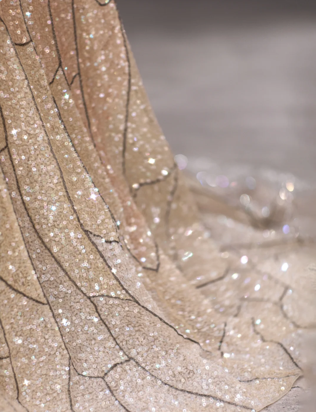 Starry Champagne Sequined Cape Fairy Wedding Dress P2882